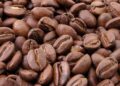 Brewing battle: coffee booms in tea-loving Kosovo – Citizen Tribune