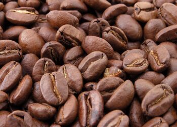 Brewing battle: coffee booms in tea-loving Kosovo – Citizen Tribune