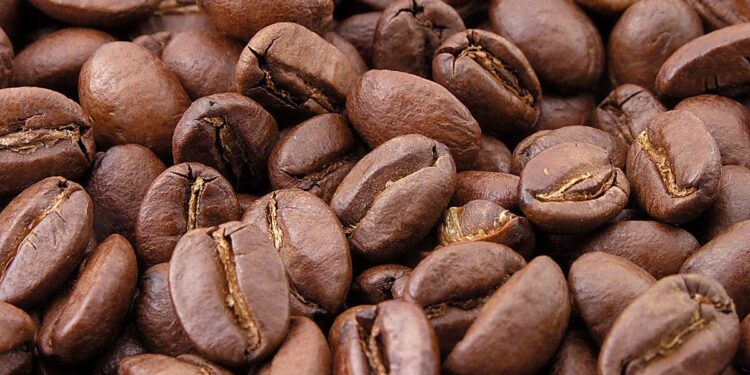 Brewing battle: coffee booms in tea-loving Kosovo – Citizen Tribune