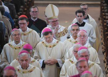 German bishops’ leader to pro-lifers: Shun nationalism – The Pillar