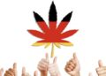Cannabis decriminalisation backed by half of Guernsey’s deputies – BBC