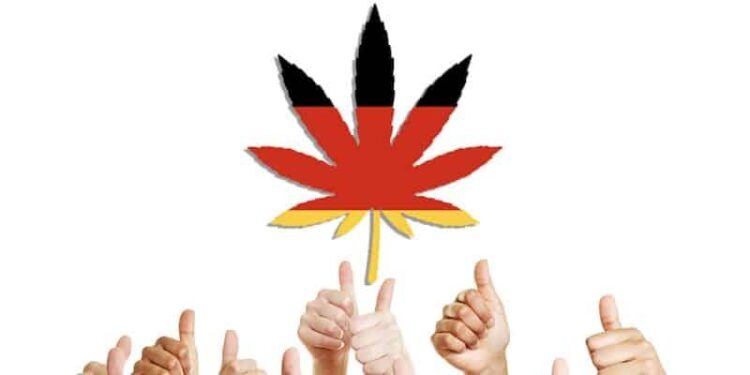 Cannabis decriminalisation backed by half of Guernsey’s deputies – BBC