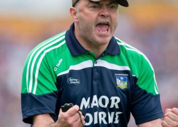 Anthony Daly: There are thousands of lads with All-Ireland medals who wouldn’t lace Hoggie’s boots – Irish Examiner