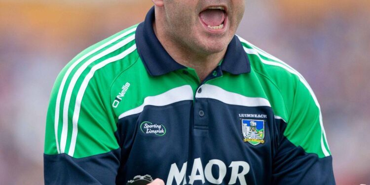 Anthony Daly: There are thousands of lads with All-Ireland medals who wouldn’t lace Hoggie’s boots – Irish Examiner