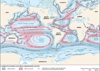 Charting new currents – UBS