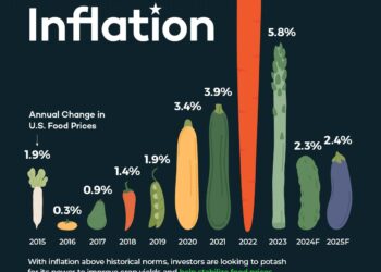 Pellervo: Food prices in Finland to rise slightly next year – Yle