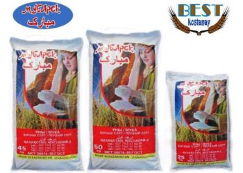 KTZ completes pilot shipment of Kazakh flour from Kazakhstan to U.S. – qazinform.com