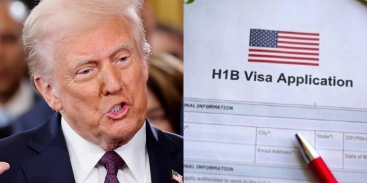 Trump H-1B Visa Fee Opens Door for Germany to Attract Indian Workers – Supply Chain Brain