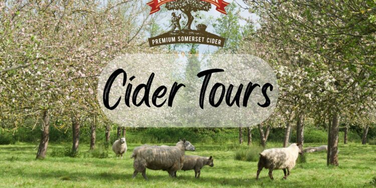 Cider farm in Guernsey expects to break its production record – BBC