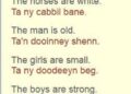 Three Manx words among latest Oxford English Dictionary additions – BBC