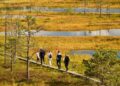 Bog walking: Exploring Estonia’s otherworldly wild landscapes – BBC