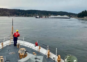 400 Stranded Aboard After Ferry Runs Aground in Aland Islands – The Maritime Executive