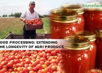 The volume of processed agricultural product exports from Kazakhstan reached $2.6 billion – АПК-Інформ