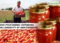 The volume of processed agricultural product exports from Kazakhstan reached $2.6 billion – АПК-Інформ