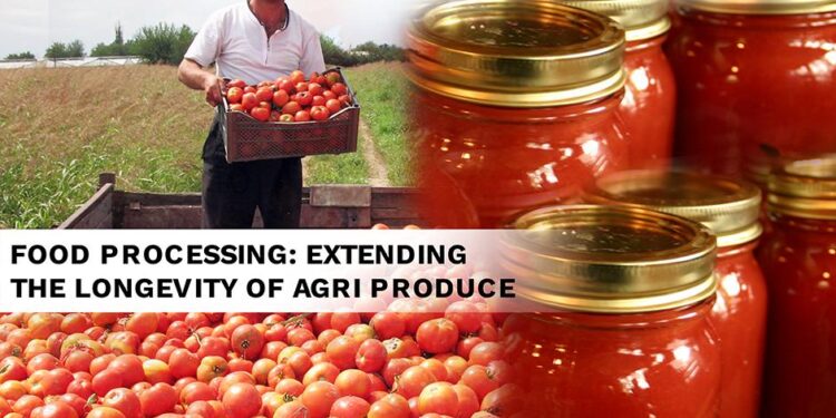 The volume of processed agricultural product exports from Kazakhstan reached $2.6 billion – АПК-Інформ