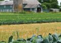 New Jersey family farm saved after eminent domain battle – Fox Business