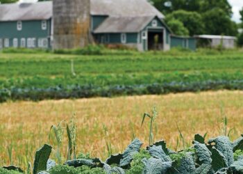 New Jersey family farm saved after eminent domain battle – Fox Business