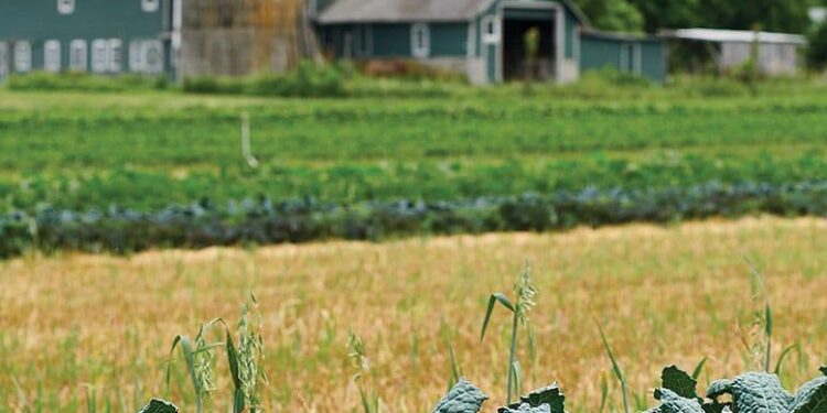 New Jersey family farm saved after eminent domain battle – Fox Business