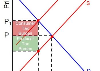 Revisiting the Tax Wedge in Bosnia and Herzegovina – International Monetary Fund (IMF)