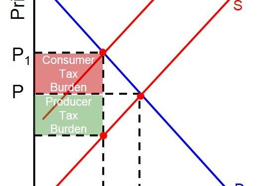 Revisiting the Tax Wedge in Bosnia and Herzegovina – International Monetary Fund (IMF)