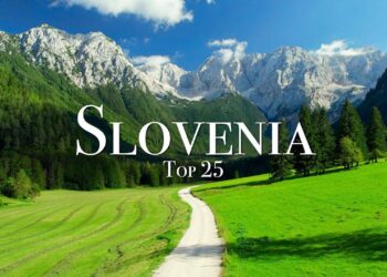 Slovenia’s Jan-Sept new car registrations up 8.3% y/y – ACEA – SeeNews