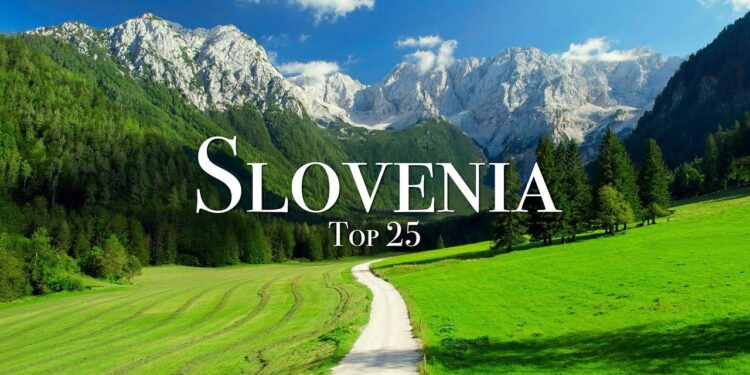 Slovenia’s Jan-Sept new car registrations up 8.3% y/y – ACEA – SeeNews