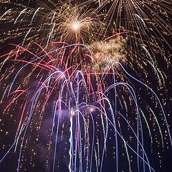 Guernsey charity says fireworks can cause fear for pets – BBC