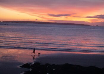 The first nine weeks: highlights at Guernsey-Sunrise – Guernsey Gazette