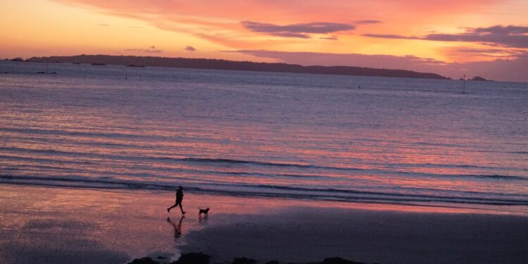 The first nine weeks: highlights at Guernsey-Sunrise – Guernsey Gazette