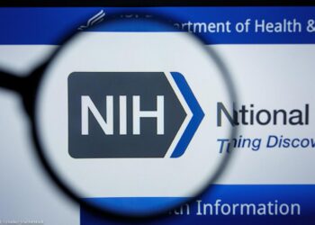 NIH Pays Swedish Experimenters to Mangle Rabbits – PETA