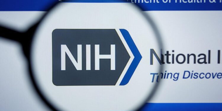 NIH Pays Swedish Experimenters to Mangle Rabbits – PETA