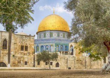 Israel Should Continue in Gaza, Says Czech Republic’s Foreign Minister Jan Lipavsky – JINSA