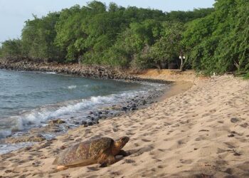 Matin’s Journey: From fear to belonging in Bosnia and Herzegovina – UNHCR – The UN Refugee Agency