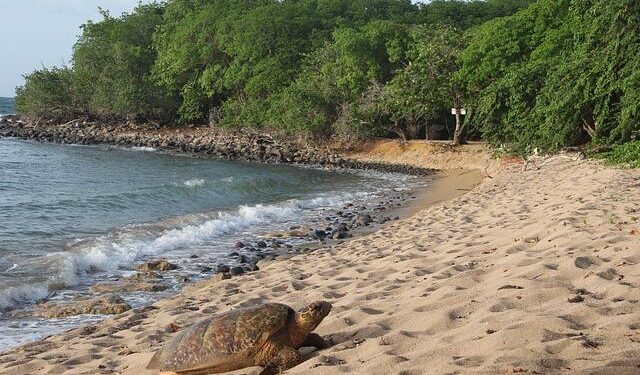 Matin’s Journey: From fear to belonging in Bosnia and Herzegovina – UNHCR – The UN Refugee Agency