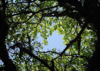 Moderate mag. 4.6 earthquake – 39 km NE of Olonkinbyen, Svalbard And Jan Mayen, on Sunday, Oct 5, 2025, at 04:30 pm (Longyearbyen time) – Volcano Discovery