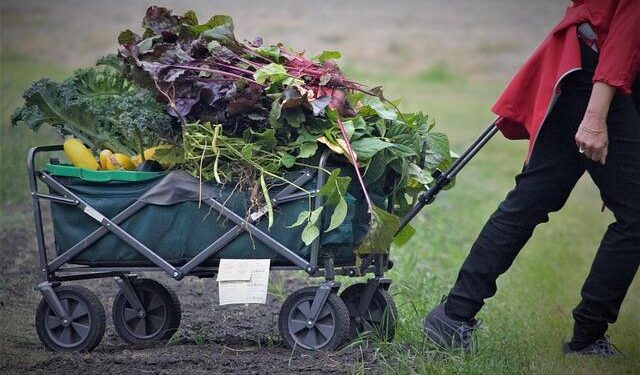 These Central Jersey restaurants are serving Thanksgiving dinner and takeout meals – Central New Jersey News