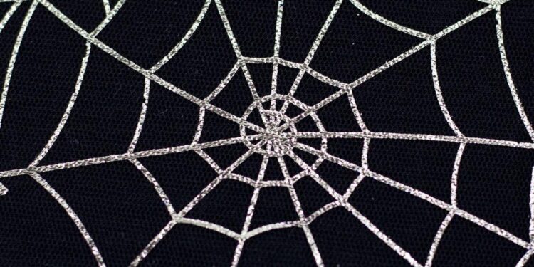 World’s largest spider web housing 110,000 spiders found on Albania-Greek border, shocks researchers – The Times of India