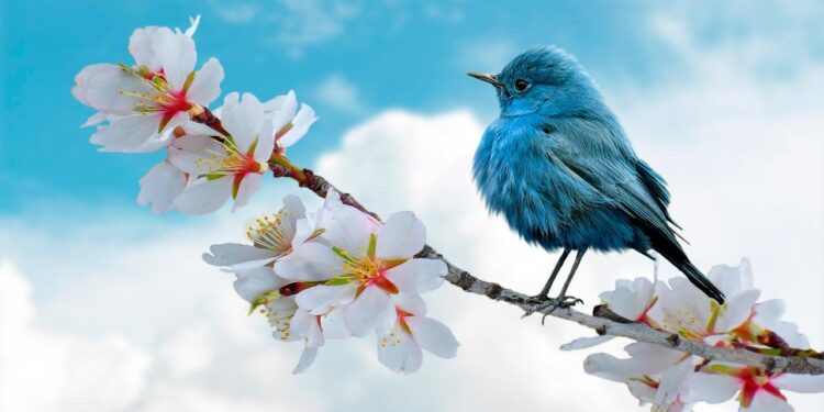 Deputy FM Kostanyan, Heads of EU Diplomatic Missions accredited in Armenia discuss Armenia-EU Visa Liberalization Action Plan – Armenpress