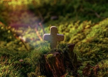 God’s Power to Save in Estonia – Billy Graham Evangelistic Association