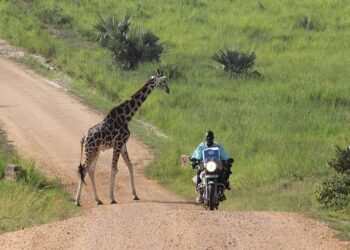 Italy probes claims wealthy tourists paid to shoot civilians on ‘human safaris’ during Bosnian War – Ynetnews