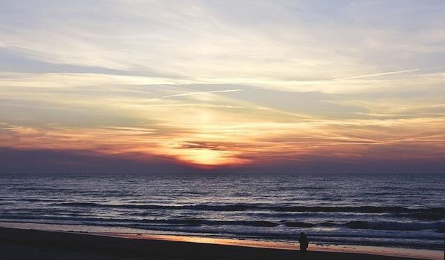 Lithuanian Weird Wave Thriller ‘Jōhatsu’ Acquired for North America by Cineverse, Fandor (EXCLUSIVE) – Variety