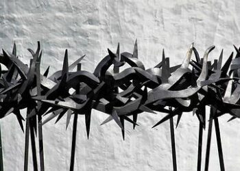 Erling Haaland leads Norway to the brink of their first World Cup since 1998 breaking records along the way – tribuna.com