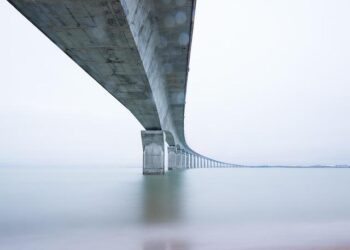 Sweden’s Re:meat Rebrands to Curve to Enable Low-Cost, Large-Scale Biomanufacturing – Green Queen Media