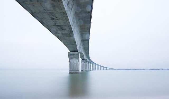 Sweden’s Re:meat Rebrands to Curve to Enable Low-Cost, Large-Scale Biomanufacturing – Green Queen Media