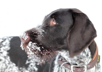 Italy’s Snam set to scrap German gas deal amid Berlin’s concern over China, sources say – Yahoo! Finance Canada