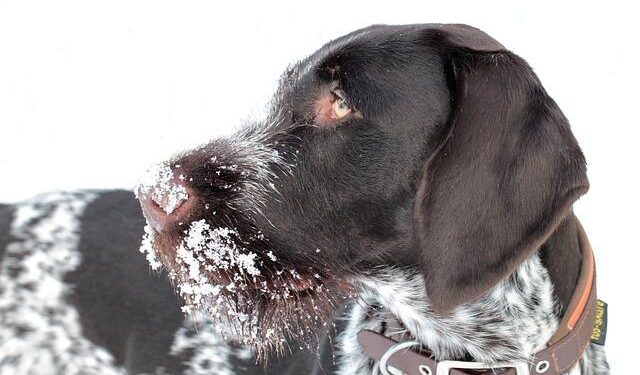 Italy’s Snam set to scrap German gas deal amid Berlin’s concern over China, sources say – Yahoo! Finance Canada