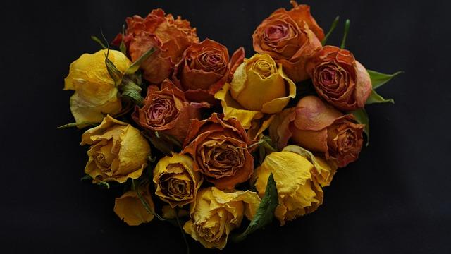 Watch Moldova vs Italy: Live streams, TV details as Gennaro Gattuso looks to keep the pressure on Norway in World Cup 2026 qualifying – FourFourTwo