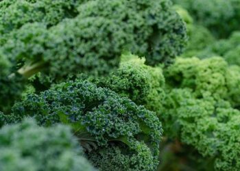 Interview with Kalle Kankaanpää, new Senior Arctic Official for Finland – Arctic Council