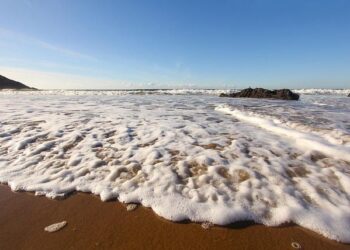 Wales vs North Macedonia TV channel and kick-off time explained – NationalWorld