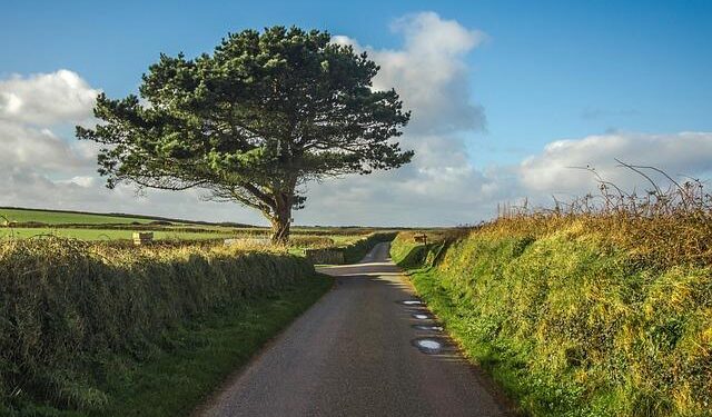 Watch: The sensational anthem as Wales took on North Macedonia – Nation.Cymru